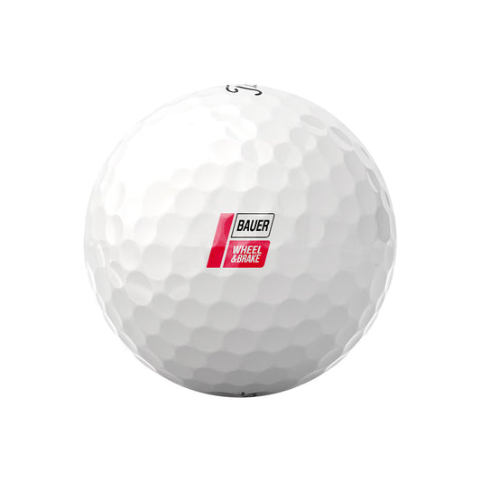 Titleist Pro V1 Golf Balls (Dozen) - Wheel & Brake